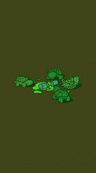 Turtles 02.jpg