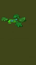 Turtles 03.jpg