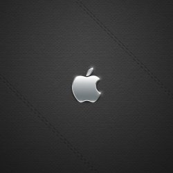 Black-Leather-Logo-iPad-4-wallpaper-ilikewallpaper_com_1024.jpg