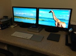 ImageUploadedByTapatalk1357026068.313056.jpg