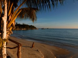 Dad? Where are you?.jpg