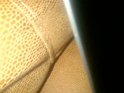 IMG.jpg