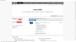 Ordini - Apple Store  Italia -081810.png