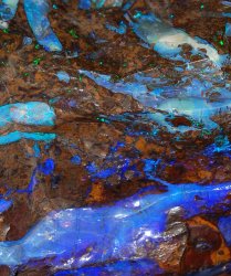 Early work - Opal-1.jpg