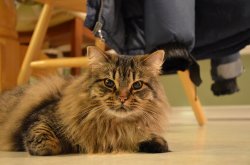 DSC_0115.JPG