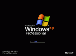 winxp-startup.gif
