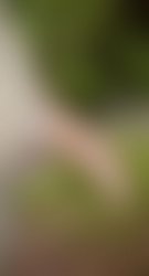 40blur.jpg