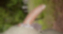 blur10.jpg