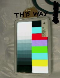 thisway3.jpg