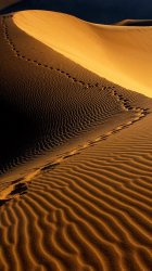 Footprints Sand.jpg