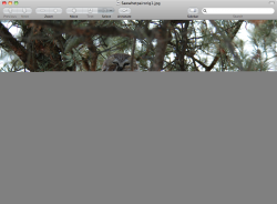 Screenshot.png