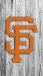 SF 07.jpg