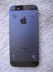 IMG_3546.jpg