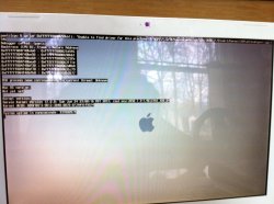 2013-01-17 10.32.13.jpg