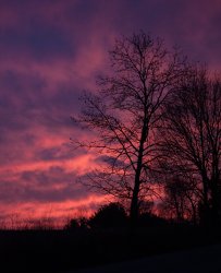 awesomeSunset.jpg