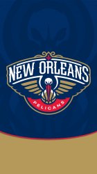 New Orleans Pelicans 01.jpg