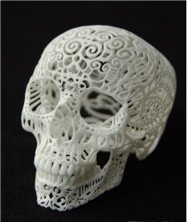 Skull 2.jpg