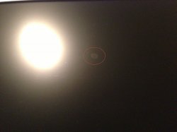 2013-01-27 14.13.30.jpg