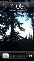 IMG_0099.PNG