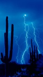 Desert Storm.jpg