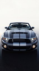 mustang1.jpg