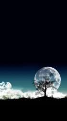 Moon Tree.jpg