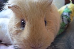 ImageUploadedByTapatalk 21360531878.862411.jpg