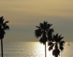 sunset2 (1).jpg