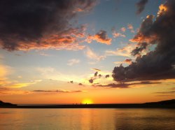 IMG_1174.1.jpg