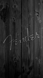 Fender 01.jpg