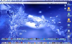 Shared Screen.jpg