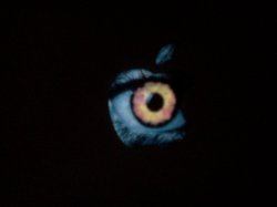 IMG_20130226_153529.jpg