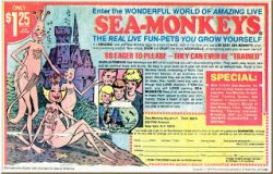 SEA MONKEYS.jpg