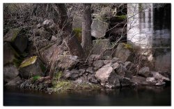 DSCF1719.jpg
