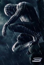 spidey3web.jpg
