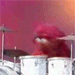 animal.gif