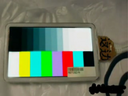 Picture 1.png