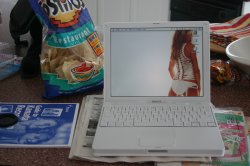 12" iBook G4 - Kitchen 2 Resize.jpg