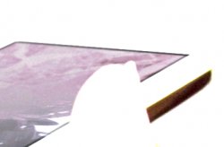 2fullipodav-2.jpg