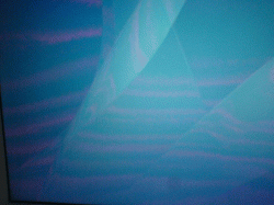DSC00203.gif