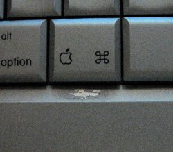 scratch2.jpg