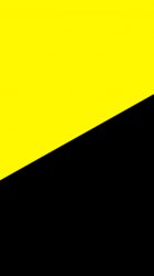 Yellow Black 01.jpg