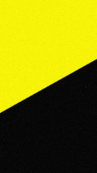 Yellow Black 02.jpg