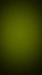 Lime 03.jpg