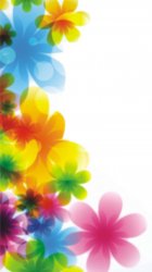 Colorful Flowers.jpg
