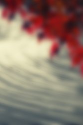 Le Moulin Blurred.jpg