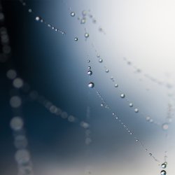 Rain Drops mini.jpg
