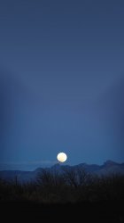 Moon Desert.jpg