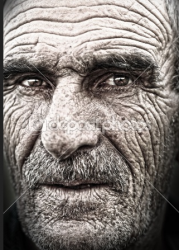 Face1.png