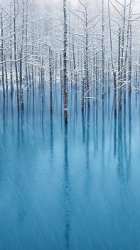 Blue Pond-iPhone_5.jpg
